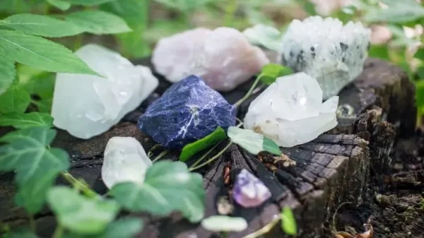 dei piccoli minerali posizionati su in tronco caduto in un bosco verde che rappresentano il corso di cristalloterapia