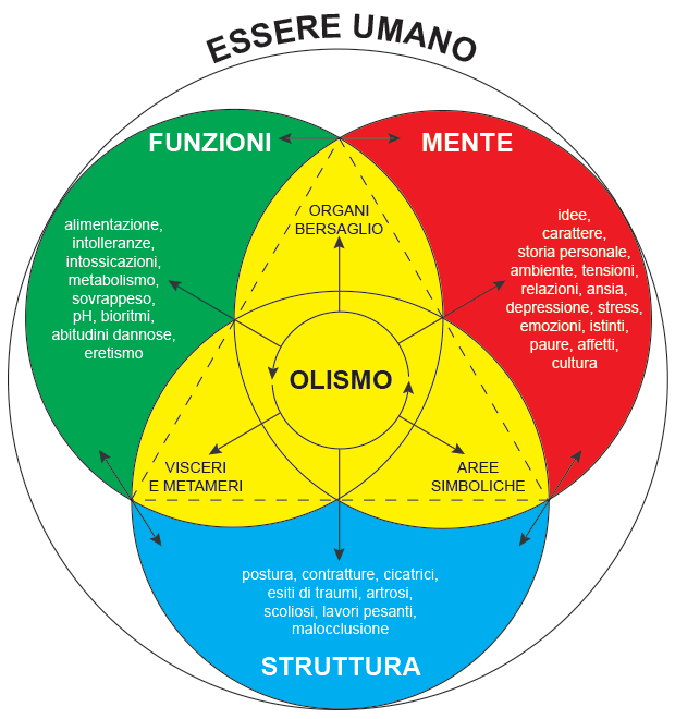 Schema rappresentativo dell'olismo che comprende la struttura del corpo, la mente e le funzioni